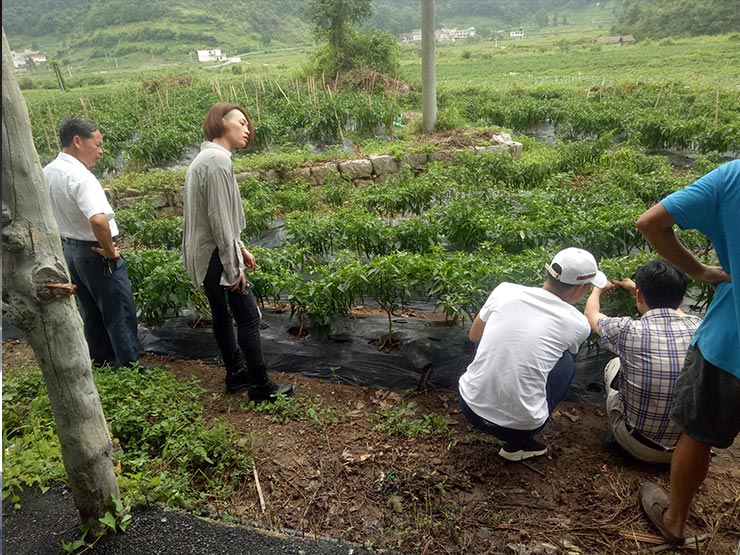 首页- 尊龙集团中国官方网站