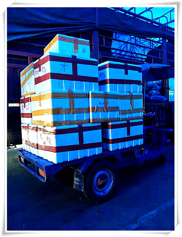 首页- 尊龙集团中国官方网站