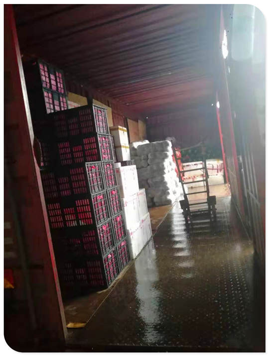 首页- 尊龙集团中国官方网站