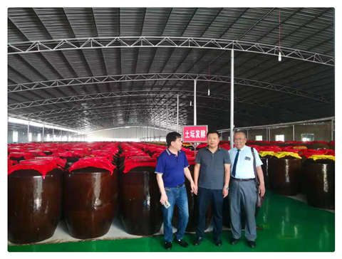 首页- 尊龙集团中国官方网站