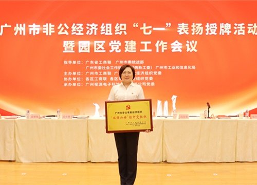标杆引领，荣誉升级！集团党支部荣膺广州市非公有造经济组织“双强六好”标