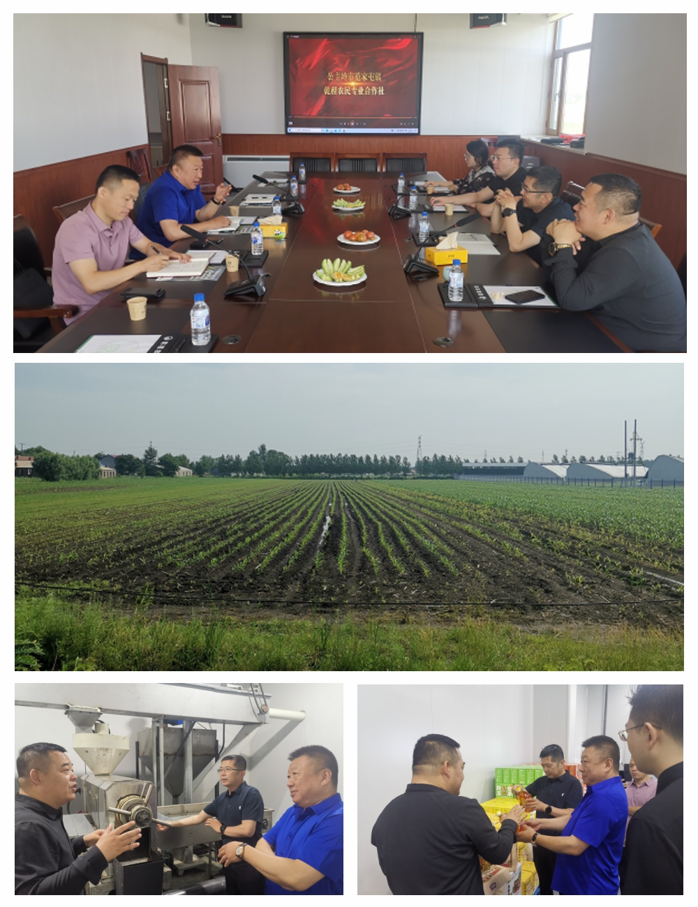 首页- 尊龙集团中国官方网站