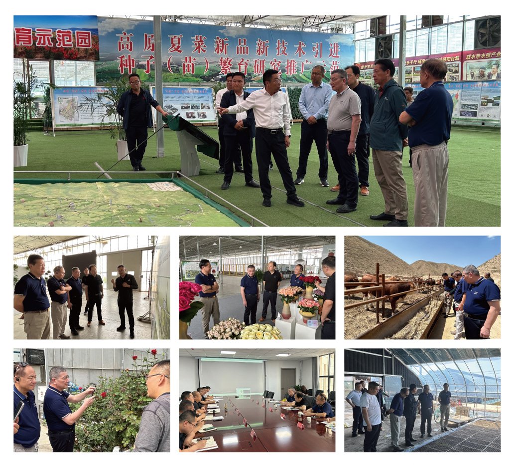 首页- 尊龙集团中国官方网站