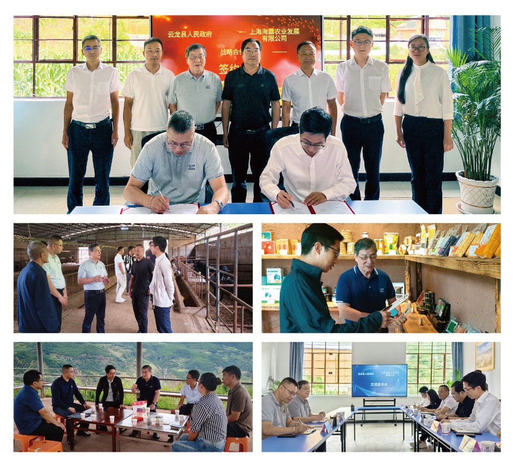 首页- 尊龙集团中国官方网站