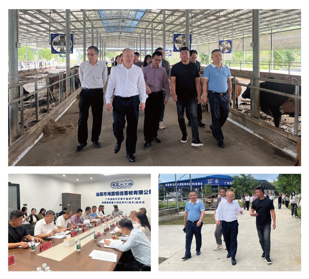 首页- 尊龙集团中国官方网站