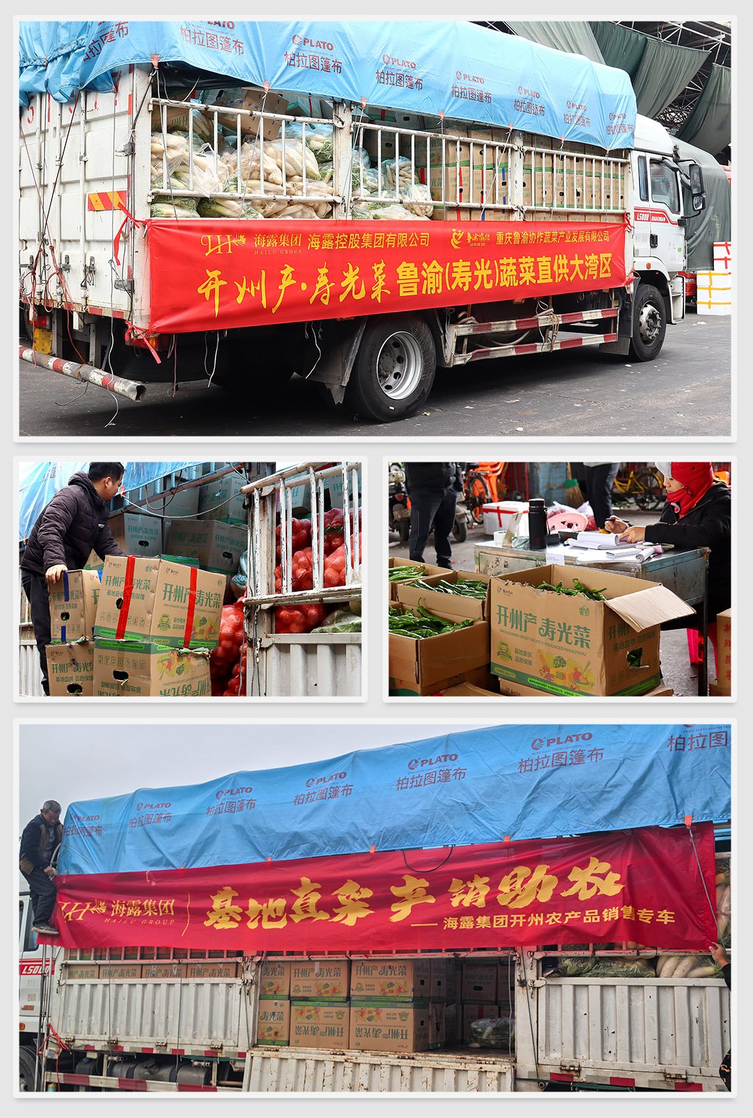 首页- 尊龙集团中国官方网站